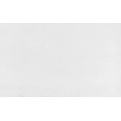 Оригинални стенни плочки Adine Blanco 33,3x55