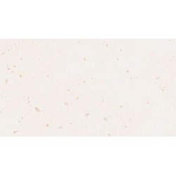 Гранитогрес White Lady 4,8х20 см