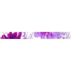 Фриз за баня с размер 5 x 60  см. Silk Fresa 