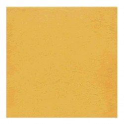Теракот плочки за баня с размери 20 x 20 см. 1900 Amarillo G227