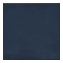 Теракот плочки за баня с размери 20 x 20 см. 1900 Azul G227