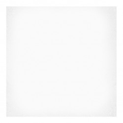 Теракот плочки за баня с размери 20 x 20 см. 1900 Blanco G227