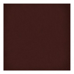 Теракот плочки за баня с размери 20 x 20 см. 1900 Chocolate G227