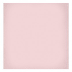 Теракот плочки за баня с размери 20 x 20 см. 1900 Rosa G227